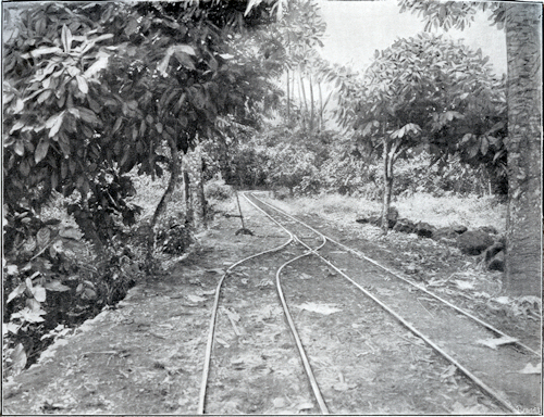 Linha de caminho de ferro privado na roa Santa Margarida